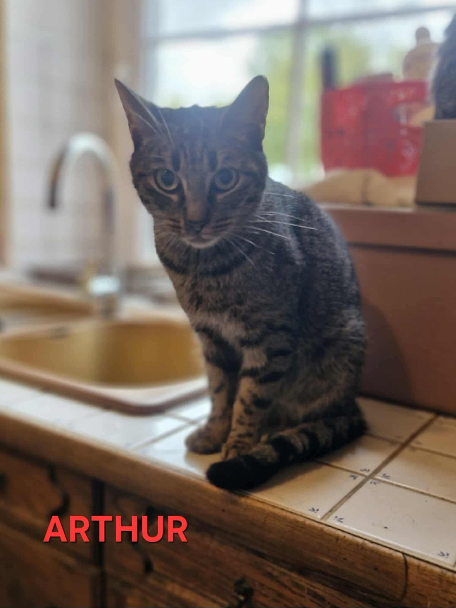 Arthur